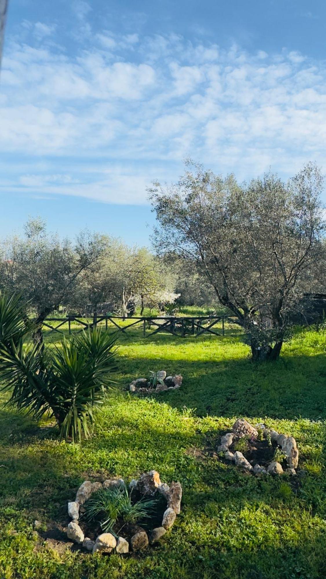 La Casa Del Grillo Villa Viterbo Exterior foto